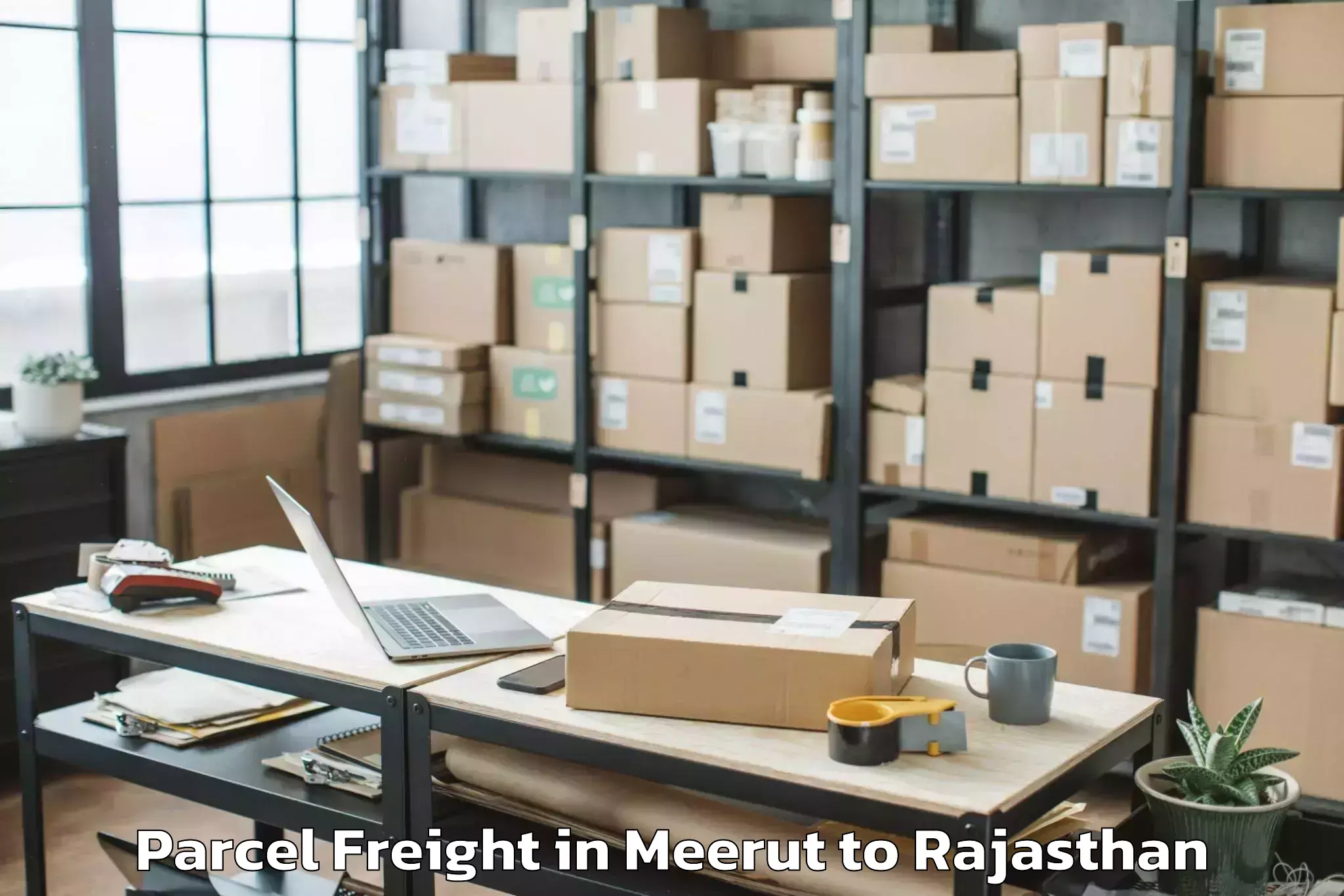 Easy Meerut to Mohanlal Sukhadia University U Parcel Freight Booking